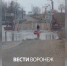 Женщина утонула у понтонного моста в воронежском Шилове - ГТРК Воронеж