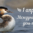 1 апреля – Международный день птиц! - Заповедник им. В.М. Пескова