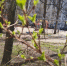 Прогноз погоды в Воронеже на воскресенье, 5 апреля - МОЁ! Online