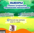 Члены избиркомов провели в Кидбурге интерактивную игру «Выборы главного устроителя воронежских заповедников» - Избирательная комиссия