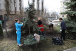 Субботник в медицинском: сплочение и благоустройство. Фотогалерея мероприятия