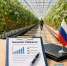 О проведении отраслевого форума «Тепличная отрасль России» - Минсельхоз Воронежской области