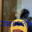 Врио главы Нововоронежа встретит лето в СИЗО - ГТРК Воронеж