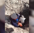 В Воронеже рабочий спас упавшую в открытый колодец собаку - ГТРК Воронеж