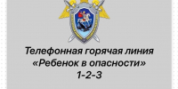 Следственное управление напоминает о круглосуточной работе телефонной линии «Ребенок в опасности» - Следственный комитет