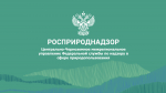 Арбитражный суд Воронежской области удовлетворил в полном объеме требования Центрально-Черноземного Управления Росприроднадзора к ООО «Полигон» о взыскании задолженности по плате за НВОС за 2021 год в размере более 4,7 млн руб.
