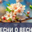 Тест для настоящих меломанов: попробуйте угадать все эти песни о весне - TV-Gubernia.Ru