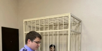 В Воронеже иностранный гражданин заключен под стражу по обвинению в совершении преступлений сексуального характера - Следственный комитет