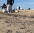Воронежских волонтёров попросили помочь в очистке Чёрного моря от мазута - ГТРК Воронеж