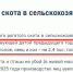 Крупный рогатый скот «идёт под нож» воронежских аграриев - Bloknot-Voronezh.Ru