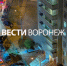 10 человек эвакуировали из горящей 17-этажки на улице Грамши - ГТРК Воронеж