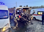 Главное за ночь. 20 человек пострадали в ДТП, слоны затоптали миллионера-винодела