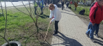 Сотрудники министерства и подведомственных учреждений приняли участие в общегородском субботнике