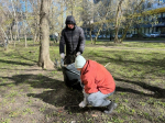Государственная ветеринарная служба приняла участие в общегородском субботнике