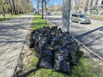 Государственная ветеринарная служба приняла участие в общегородском субботнике
