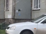 Чернокрылого похитителя объявлений со стен записали на видео в Воронеже