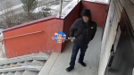 В Воронеже сбежал оставленный на свободе эксгибиционист из «Лазурного»