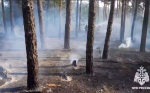 О чрезвычайной пожарной опасности V класса предупредили воронежцев
