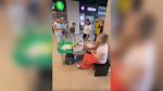 После конфликта с «МП» для монахини-волонтёра с бездомными кошками нашли новую площадку