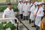 В Бобровском районе Воронежской области открыли один из крупнейших тепличных комплексов России за 22 млрд рублей