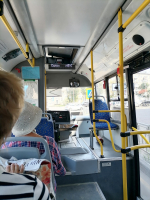 Воронежцев запекают в общественном транспорте при температуре 45°C