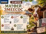 Змеи-вампиры у коровьего вымени: что скрывает праздник 22 августа
