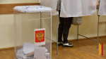 Воронежцы впервые смогут проголосовать досрочно