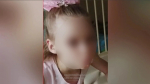 Волонтёры закрыли поиски пропавшей в Воронеже 9-летней девочки