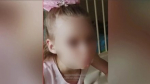 Волонтёры закрыли поиски пропавшей в Воронеже 9-летней девочки