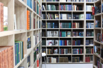 «Не просто хранилище книг»: в Воронеже открылась модельная библиотека №5 — пространство для творчества, экологии и семейного досуга