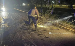В Белгороде устранили последствия сильного ветра на шести улицах