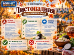 Поздний снег или ранняя зима: приметы Листопадной для воронежцев