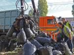 В Воронеже прошел общегородской субботник.