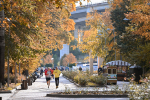 Врио губернатора Воронежской области Данил Кустов принял участие в общегородском субботнике