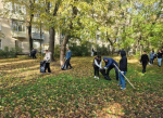 Участие в общегородском субботнике
