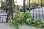 Сотрудники УФК по Воронежской области приняли участие в общегородском субботнике в рамках осеннего месячника по благоустройству и санитарной очистке территорий