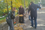 Сотрудники УФК по Воронежской области приняли участие в общегородском субботнике в рамках осеннего месячника по благоустройству и санитарной очистке территорий