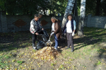 Сотрудники территориальных отделов Управления Федерального казначейства по Воронежской области 9 октября 2026 года приняли участие в субботнике