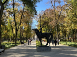 В Воронежской области днем 14 октября объявили беспилотную опасность
